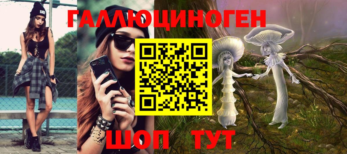 Галлюциногенные грибы прущие грибы Краснознаменск